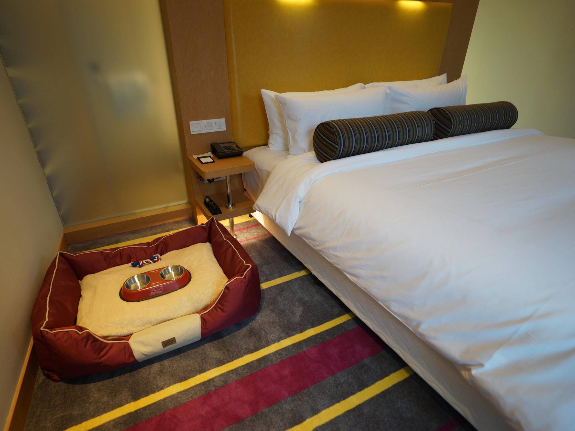Aloft Dynamic Town Hotel Шънджън Екстериор снимка